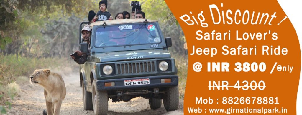 discount on gir national park safari