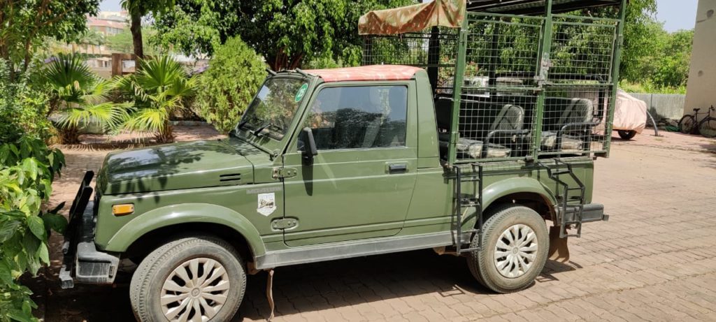 gir national park jeep safari