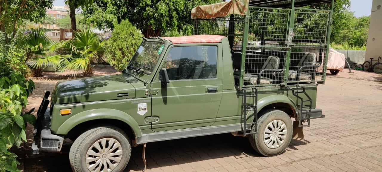 jeep safari in gir national park
