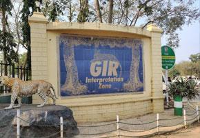 Gir National Park 