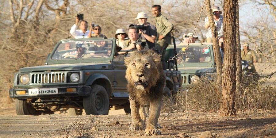 karmazari safari booking