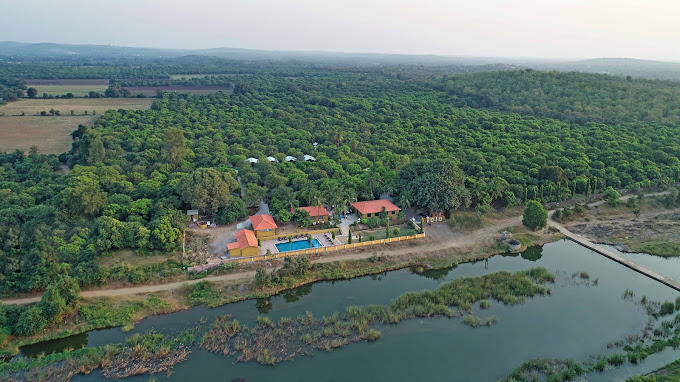 The Best Hotels & Resorts Closest to Gir National Park