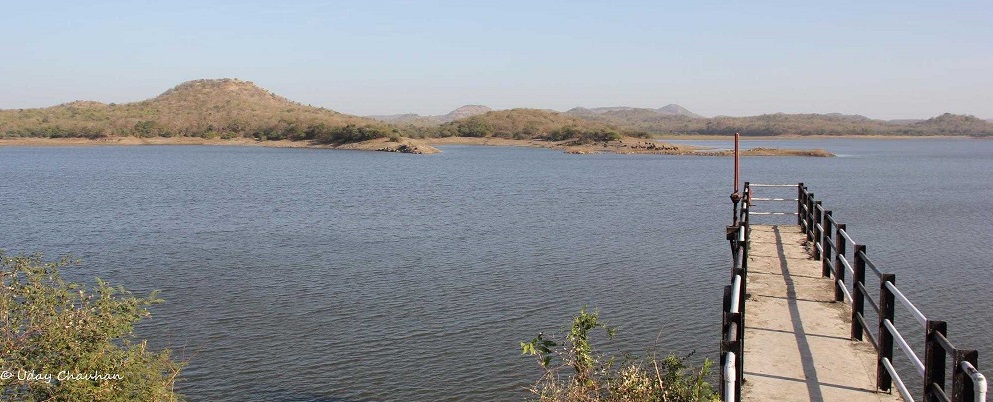 Kamleshwar Dam: Lifeline of Gir National Park