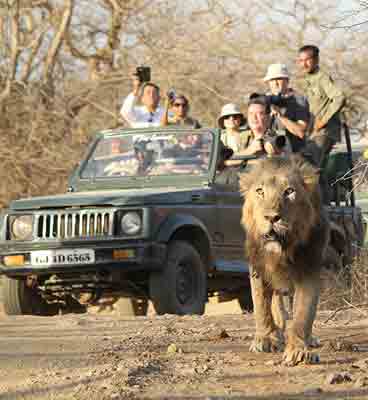 kankai safari sasan gir