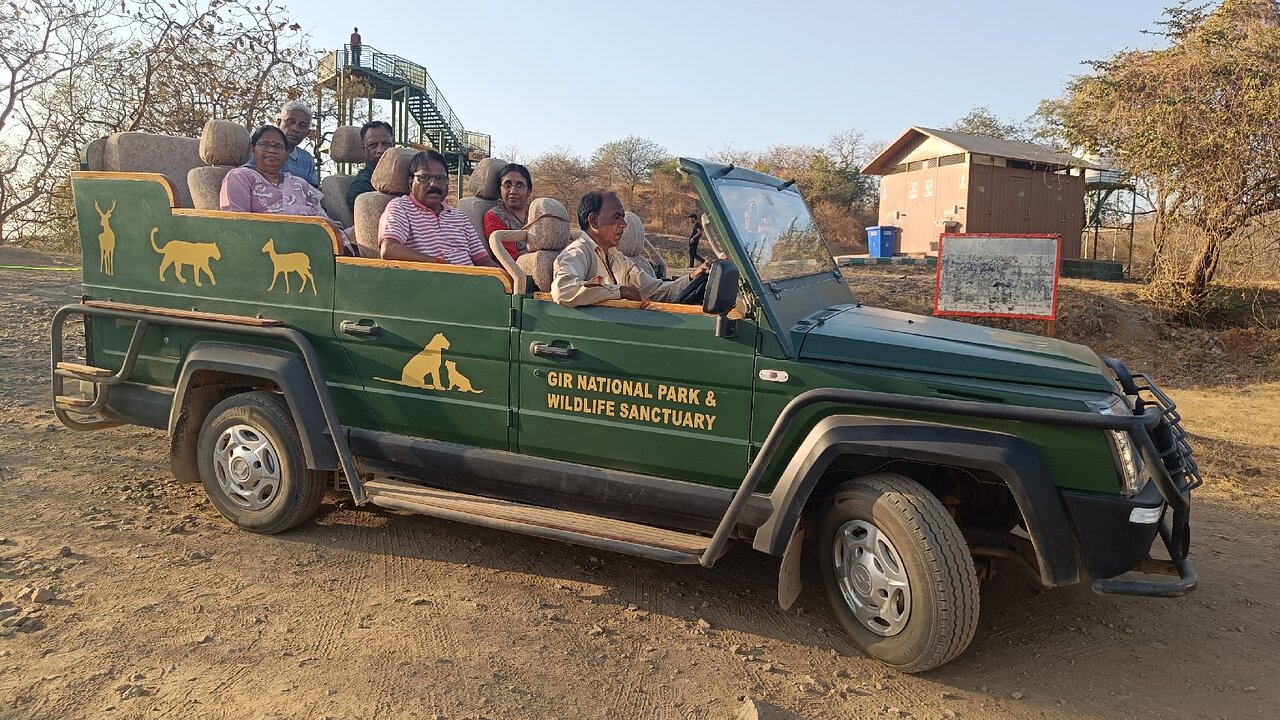 Unlock the Best Safari Experience in Gir by Booking Online