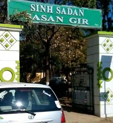 sinh sadan sasan gir